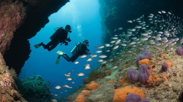uruguay s marine exploration adventure